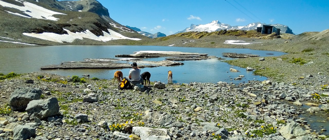 Bild bergige Wiesenlandschaft